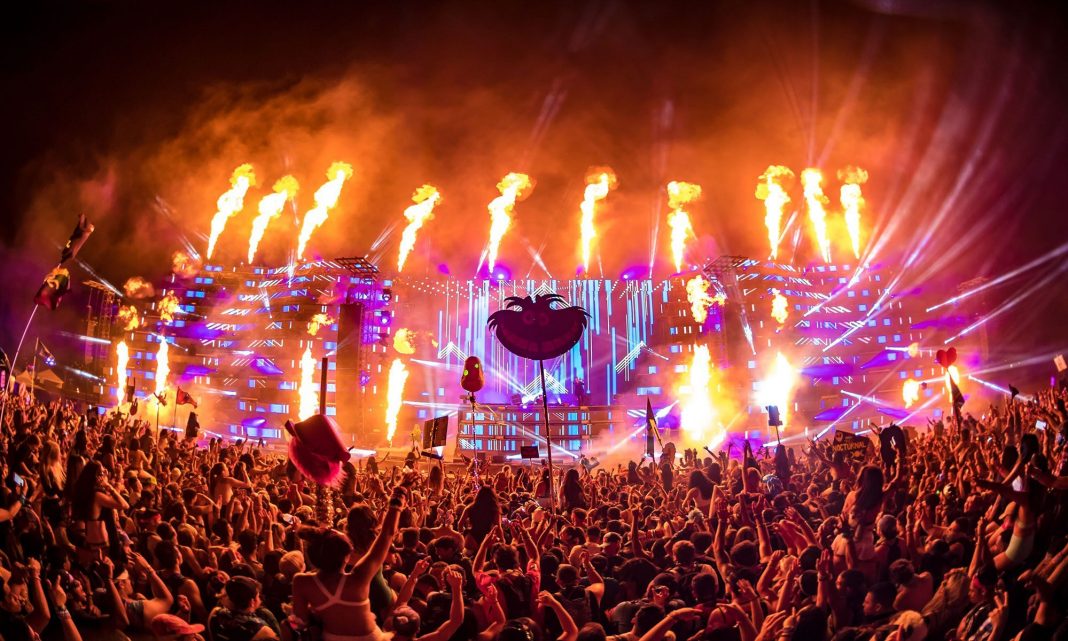 Nocturnal Wonderland