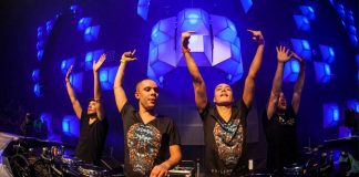 Wildstylez