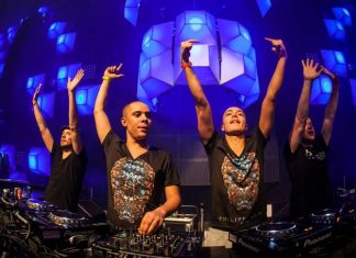 Wildstylez